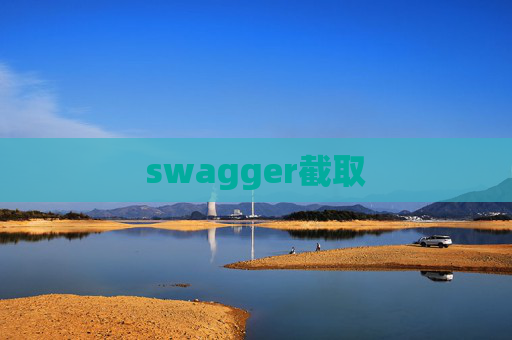 swagger截取